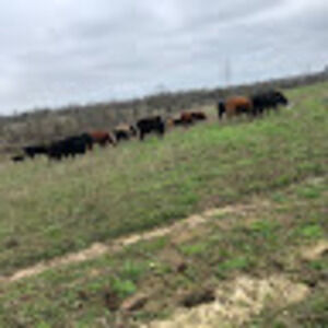 Meet your Posher, Andre